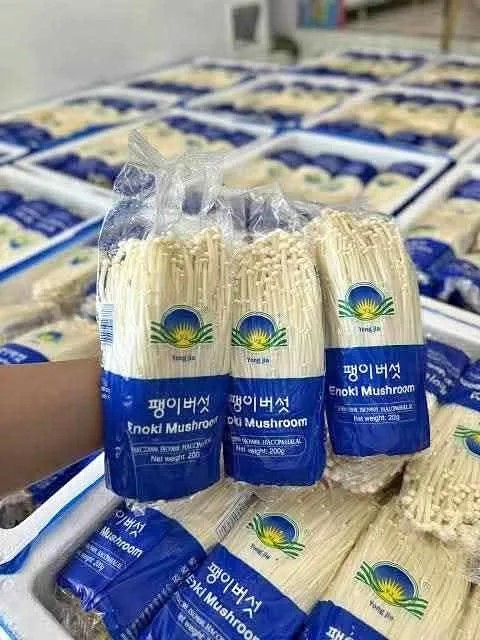 Three 200 g packs of fresh enoki mushrooms from a Davao City seller